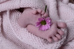 Kleine Wunder