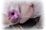 Kleine Wunder